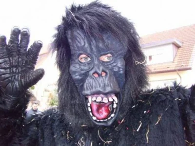 fasnetsamschdig07_29_20080608_1958712520.jpg